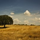 Alentejo Colours